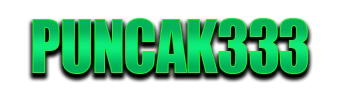 Logo PUNCAK333